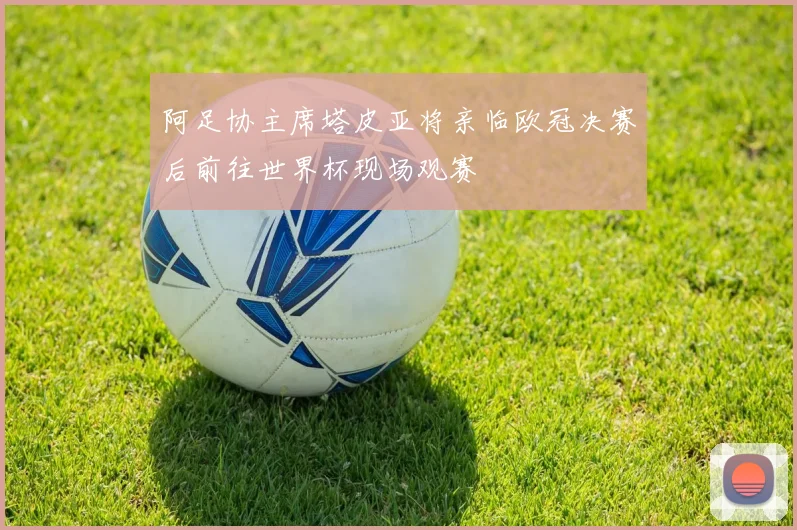阿足协主席塔皮亚将亲临欧冠决赛后前往世界杯现场观赛